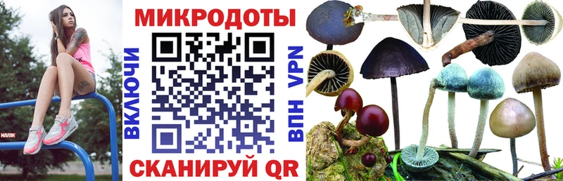 Псилоцибиновые грибы мицелий  купить наркотики цена  omg ссылка  Керчь 